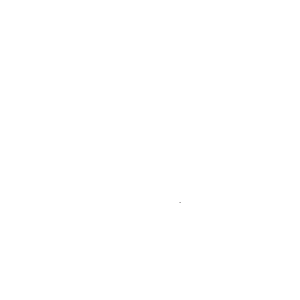 White logo